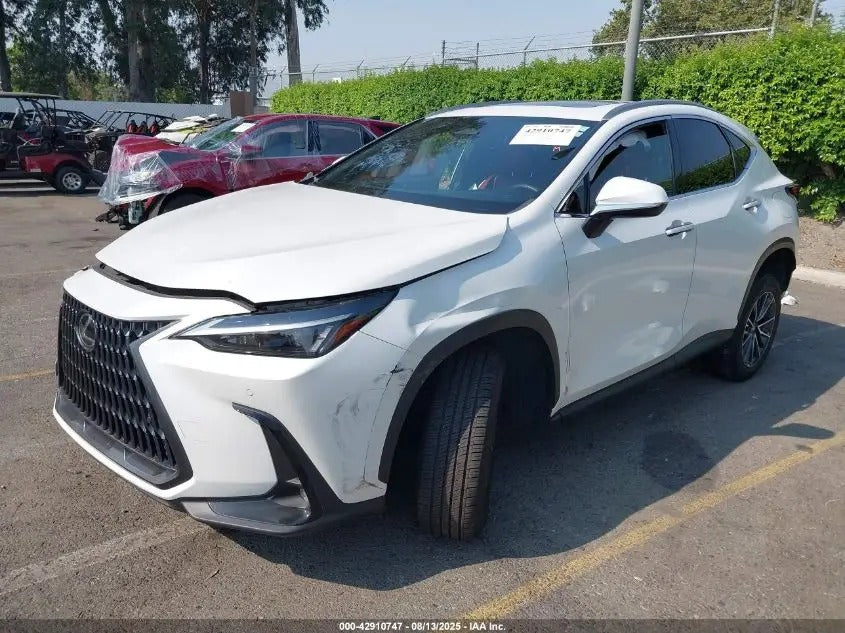 JTJGKCEZ4R2026262 - 2024 Lexus Nx – Hide Vin Expert