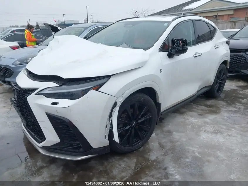 JTJKKCFZ8P2019188 - 2023 Lexus Nx – Hide Vin Expert